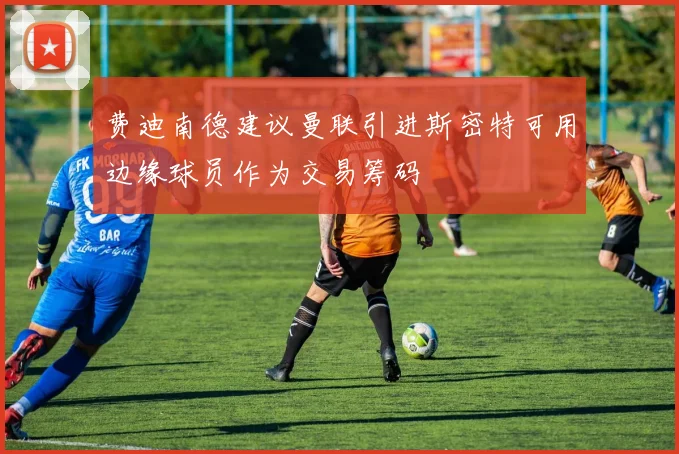 费迪南德建议曼联引进斯密特可用边缘球员作为交易筹码